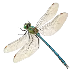 Imagen PNG para descargar